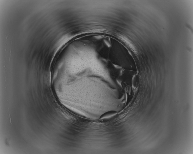 X0000091291324200708311309