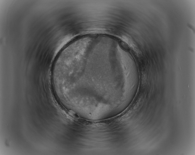 X0000091291325200708311309