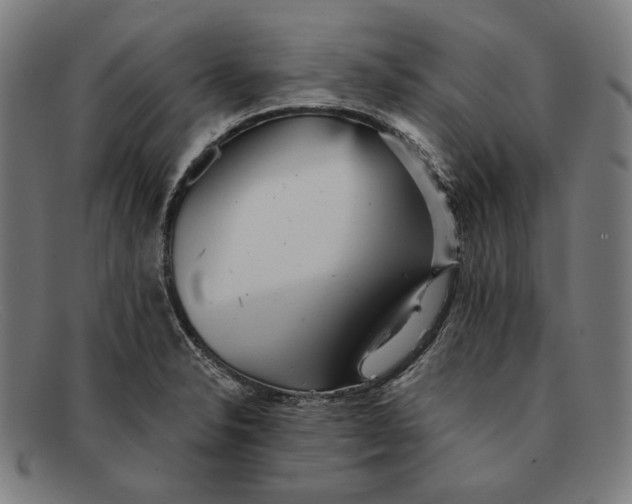 X0000091291326200708311309