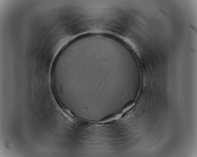 X0000091291327200708311309