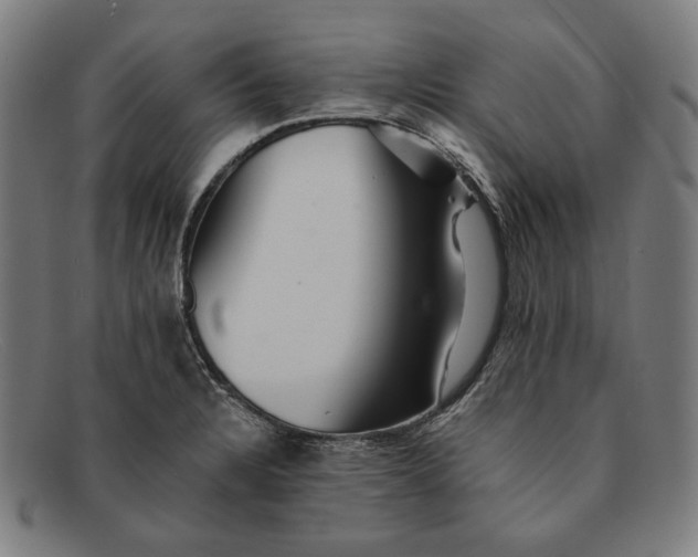 X0000091291328200708311309