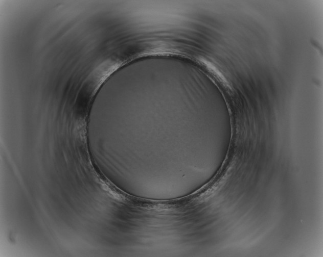 X0000091291329200708311309