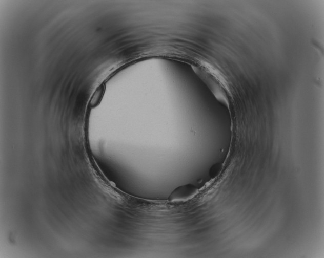 X0000091291330200708311309