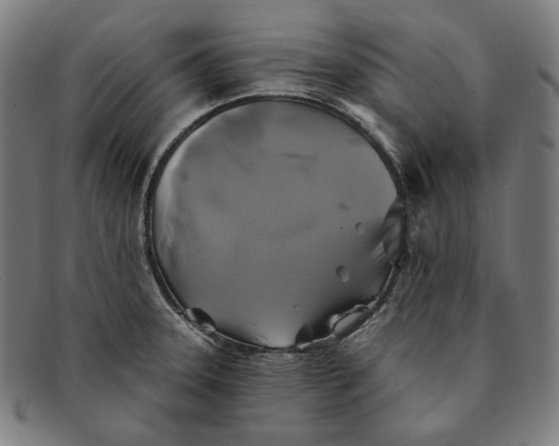 X0000091291331200708311309