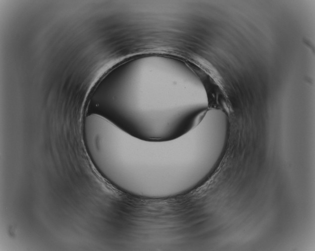 X0000091291332200708311309