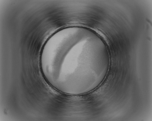 X0000091291333200708311309