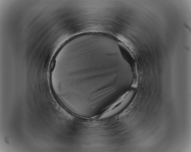 X0000091291334200708311309