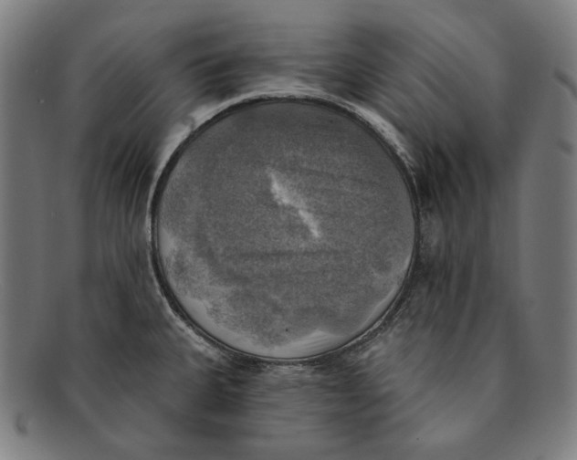 X0000091291335200708311309