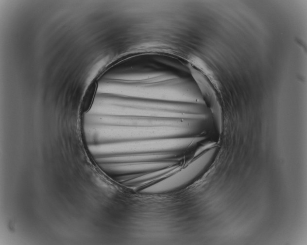 X0000091291336200708311309