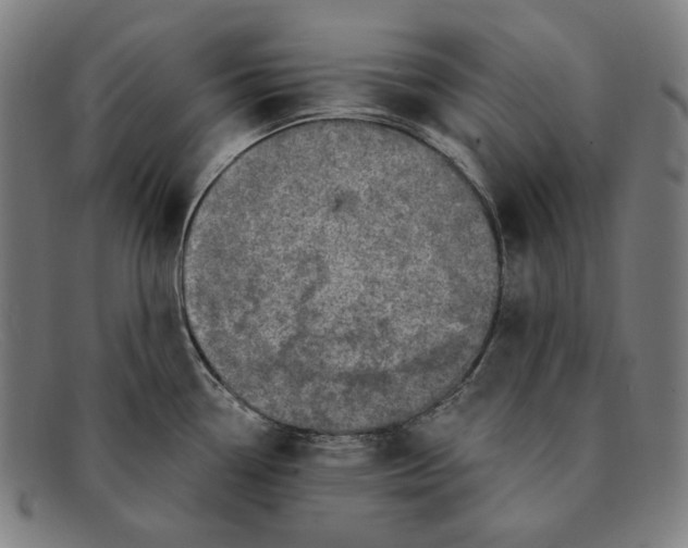 X0000091291338200708311309