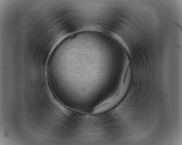 X0000091291339200708311309