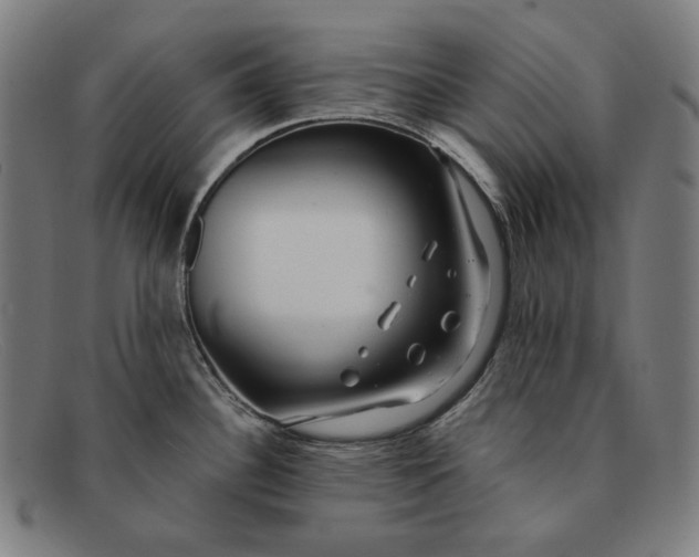 X0000091291340200708311309