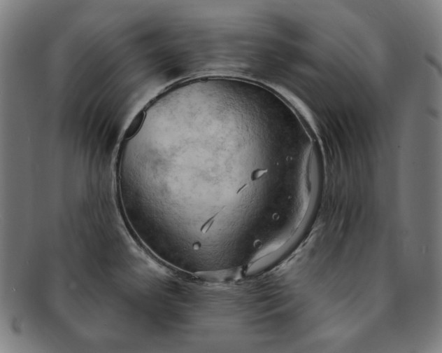 X0000091291341200708311309