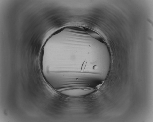 X0000091291344200708311309