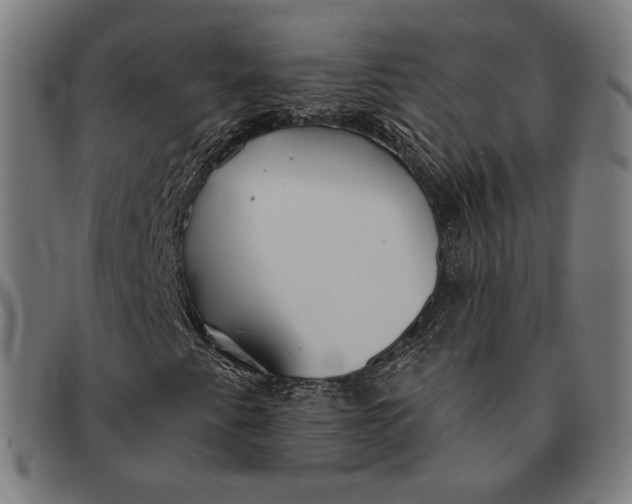 X0000091291345200708311309