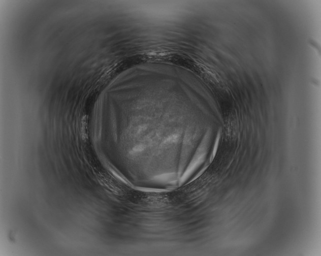 X0000091291346200708311309