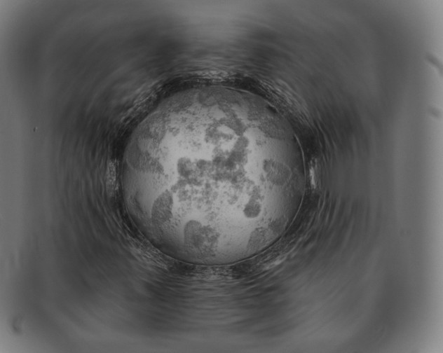 X0000091291347200708311309