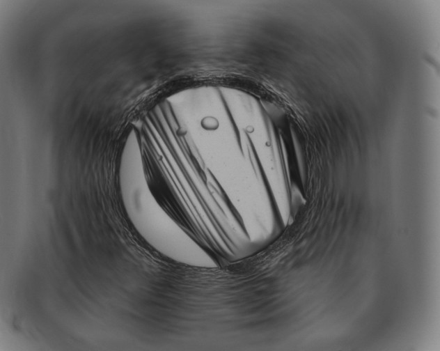 X0000091291348200708311309