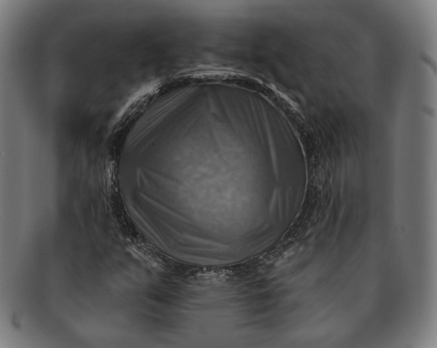 X0000091291351200708311309