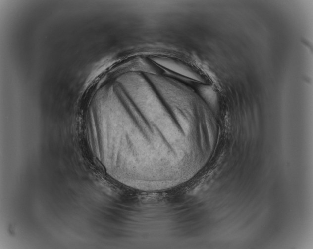 X0000091291352200708311309