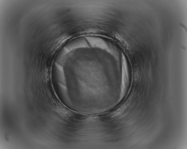 X0000091291353200708311309