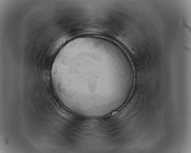 X0000091291355200708311309