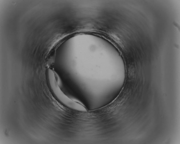 X0000091291356200708311309