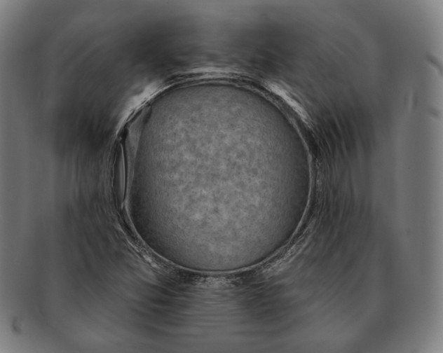 X0000091291357200708311309