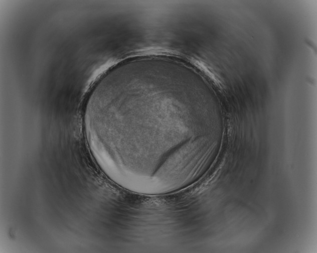 X0000091291358200708311309