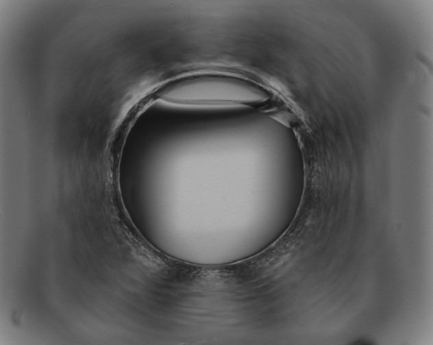 X0000091291360200708311309