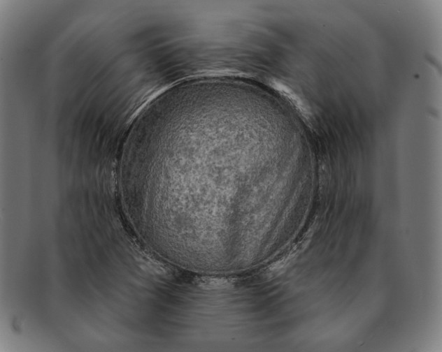 X0000091291361200708311309