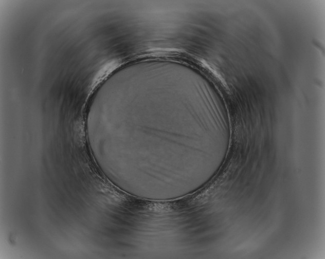 X0000091291362200708311309