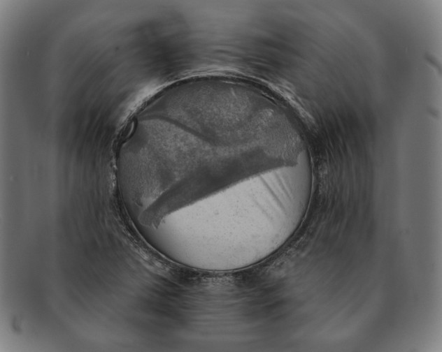 X0000091291363200708311309