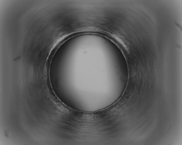 X0000091291364200708311309