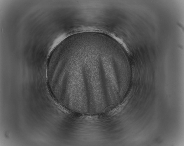 X0000091291365200708311309