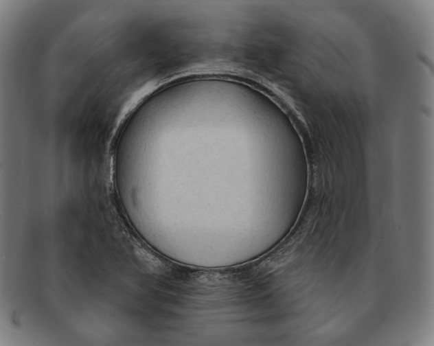 X0000091291366200708311309