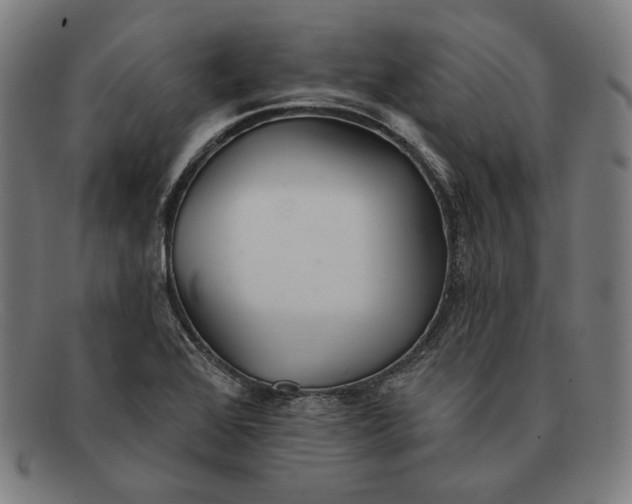 X0000091291368200708311309