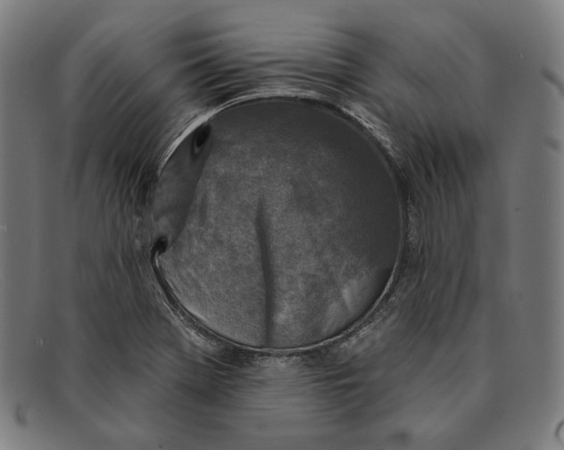 X0000091291369200708311309