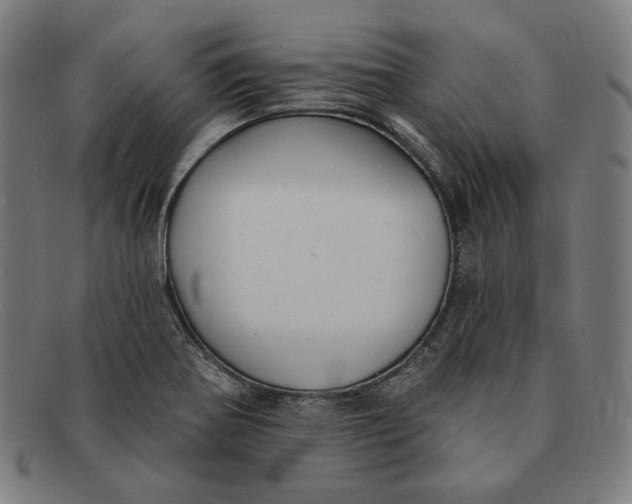 X0000091291370200708311309