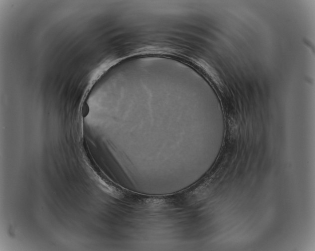 X0000091291371200708311308