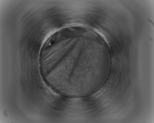 X0000091291373200708311308