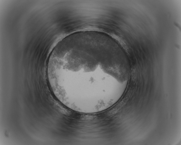 X0000091291374200708311308