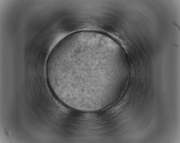 X0000091291375200708311308