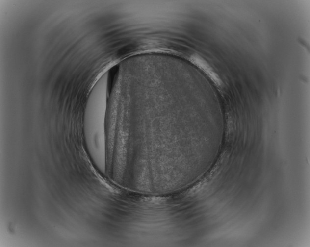 X0000091291377200708311308