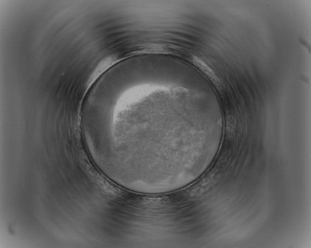 X0000091291378200708311308