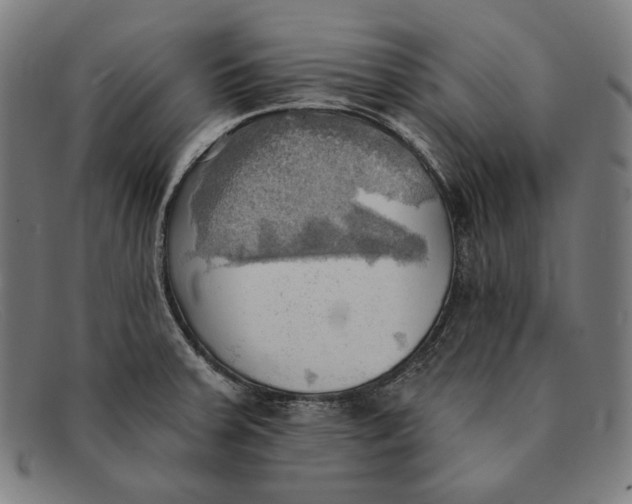 X0000091291379200708311308