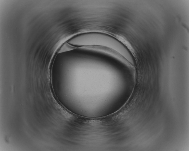 X0000091291380200708311308