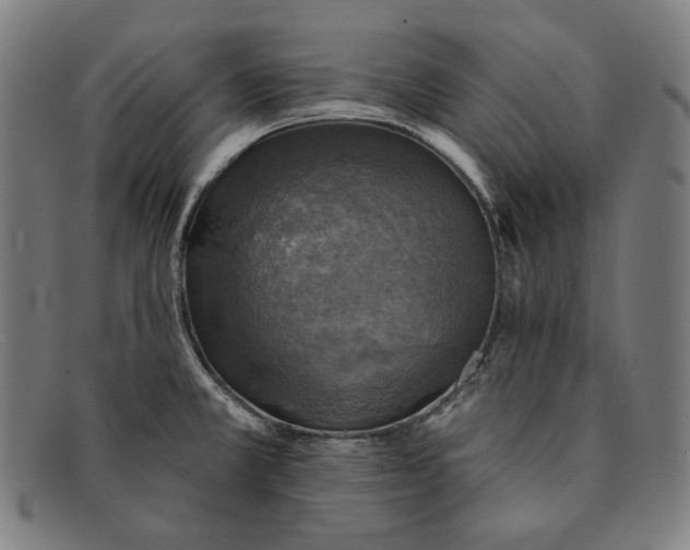 X0000091291381200708311308