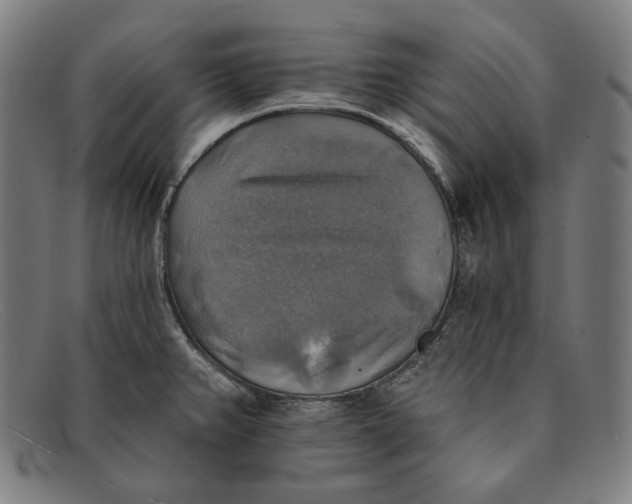 X0000091291382200708311308