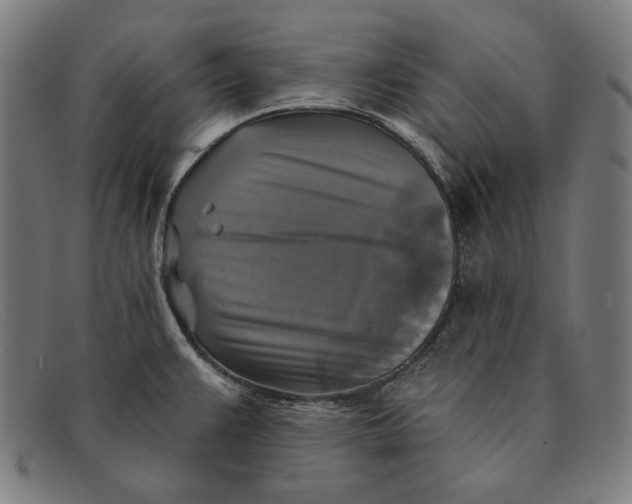 X0000091291383200708311308